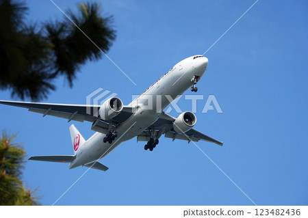 一架客機飛越城南島 123482436