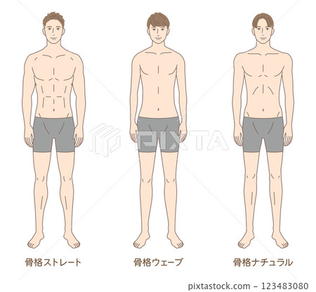 男性骨骼診斷3種類型 體型 骨骼類型 男性骨骼診斷3種類型 體型 骨骼類型 123483080