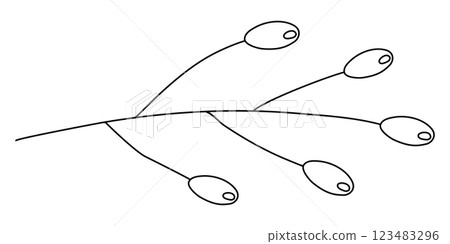Small flax lily or dianella flowers or berries on branch, doodle vector outline for coloring book 123483296