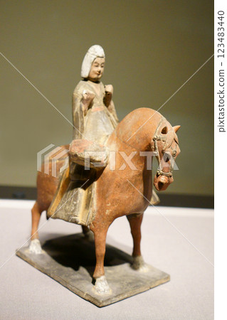 7648　Colored Horse Warrior 123483440