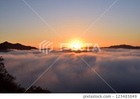 從寶山公園展望台眺望夜久野台地的雲海 從寶山公園展望台眺望夜久野台地的雲海 123483849