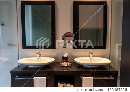 Modern and luxurious double sink bathroom 123483926