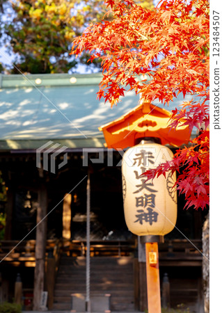 Sekizan Zen-in, Enryaku-ji branch temple (god of protection from evil spirits), Sekizan Daimyojin, Shugakuin, Sakyo Ward, Kyoto City, Autumn leaves Sekizan Zen-in, Enryaku-ji branch temple (god of protection from evil spirits), Sekizan Daimyojin, Shugakuin, Sakyo Ward, Kyoto City, Autumn leaves 123484507