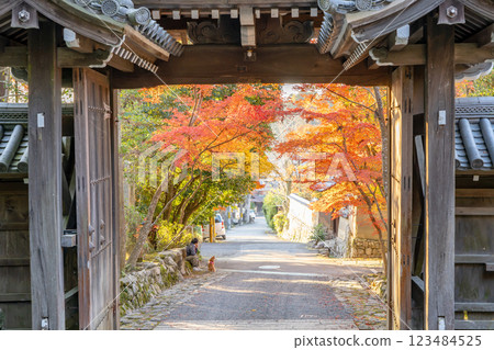 Sekizan Zen-in, Enryaku-ji branch temple (God of protection from evil spirits), Shugakuin, Sakyo-ku, Kyoto City, Kyoto Prefecture, Japan. The mountain gate and autumn leaves 123484525