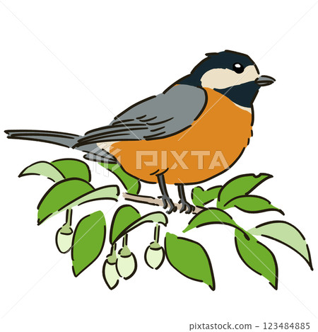 Illustration of a varied tit perched on a snowbell tree 123484885