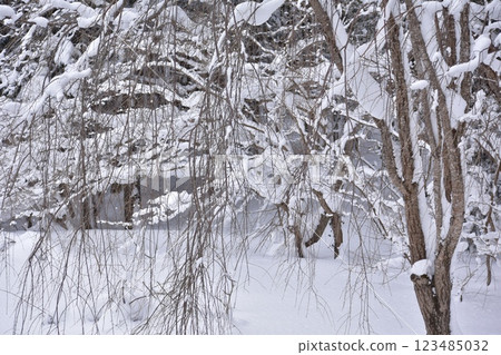 Gentle Winter 123485032