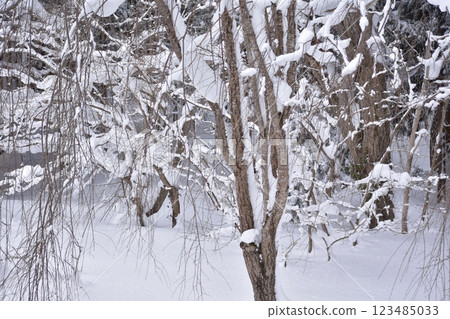 Gentle Winter 123485033