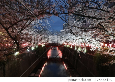 東京目黑川的夜櫻 123485129