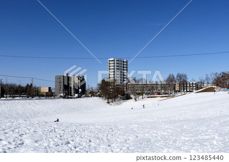 等雪融化後在公園滑雪橇 等雪融化後在公園滑雪橇 123485440