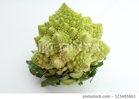 Romanesco 123485661