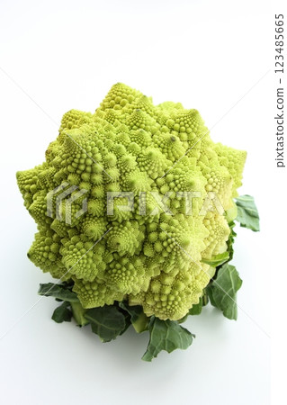 Romanesco 123485665