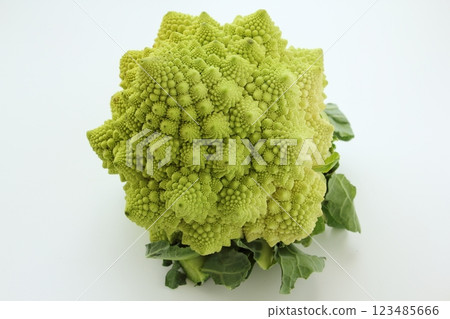 Romanesco 123485666