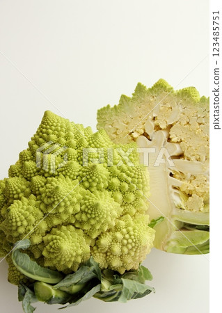 Romanesco 123485751