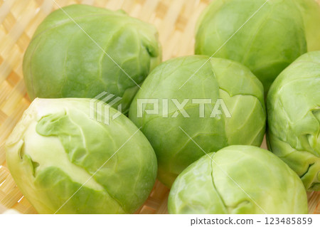 Close-up of brussels sprouts 123485859