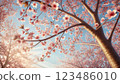 [背景] 櫻花 123486010