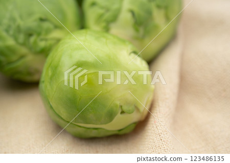 布魯塞爾新芽特寫鏡頭 123486135