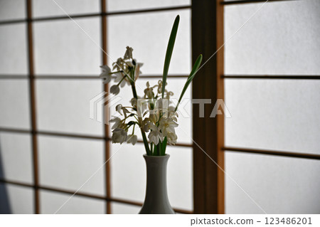 巡遊近江商人住宅 巡遊近江商人住宅 123486201