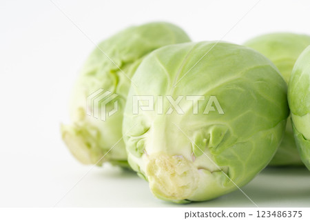 布魯塞爾新芽特寫鏡頭 123486375