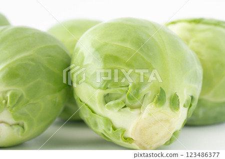 布魯塞爾新芽特寫鏡頭 123486377