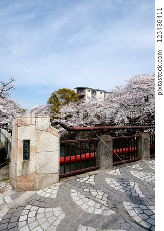 Funamachi, Ogaki City, Gifu Prefecture_The Land of the Narrow Road to the Deep North 7_April 2024 123486411