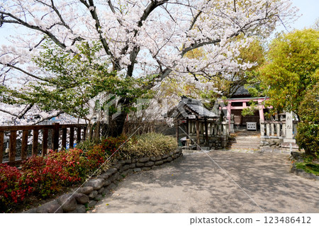 Funamachi, Ogaki City, Gifu Prefecture_Sumiyoshi Shrine 1_April 2024 123486412