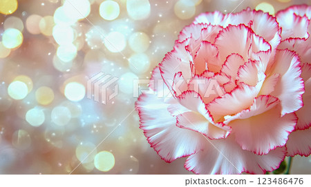 Celebration flower background: carnations 123486476