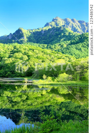 Mirror pond in summer Mirror pond in summer 123486542