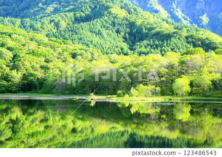 鏡子池塘在夏天 鏡子池塘在夏天 123486543