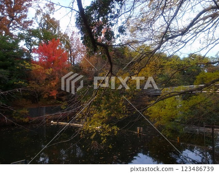 Musashi Kinen Park Musashi Kinen Park 123486739