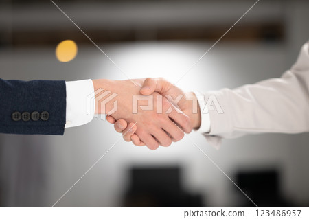 握手的商人的手 握手的商人的手 123486957