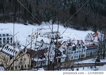 冬季從高處俯瞰菲森 123486989