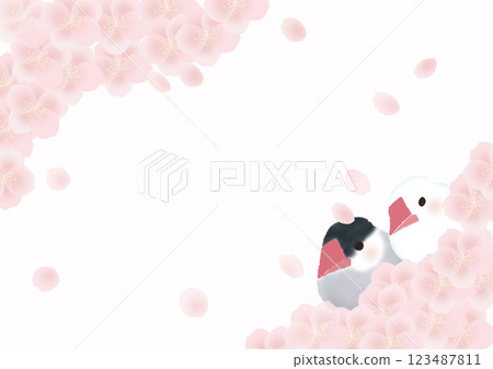 櫻花、櫻花雀和白雀的框架 123487811