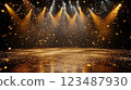 聚光燈照亮的華麗舞台 123487930