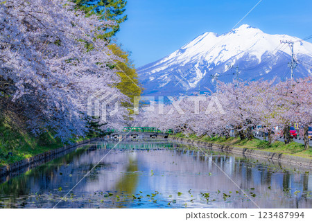 青森櫻花盛開的美景 青森櫻花盛開的美景 123487994