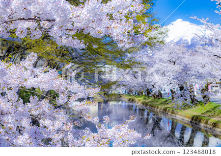 青森櫻花盛開的美景 青森櫻花盛開的美景 123488018