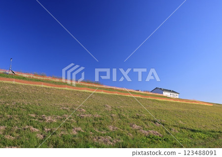 埼玉縣加須市利根川堤防的風景 123488091
