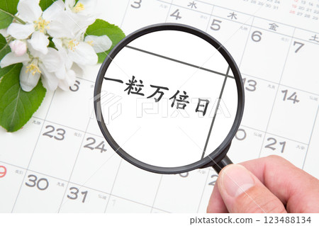 月內某天的特寫（日曆背景） 123488134