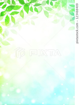 Fresh green leaves thrive 123488409