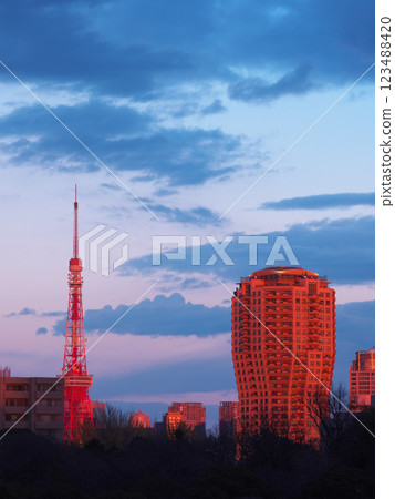 東京港區的街道因年底的夕陽而染成鮮紅色(2024年12月) 東京港區的街道因年底的夕陽而染成鮮紅色(2024年12月) 123488420