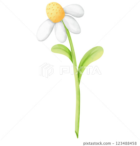 hand painted watercolor flowers hand painted watercolor flowers 123488458