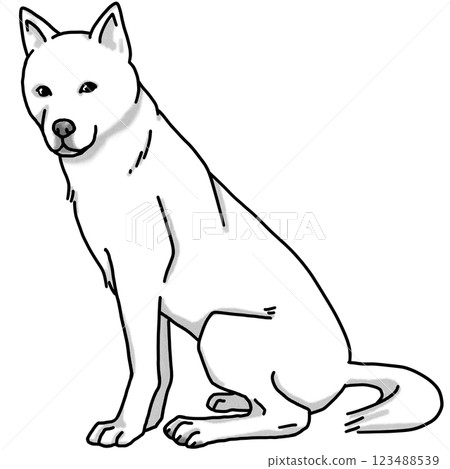 紀州犬，黑白，透明背景，狗插圖 123488539