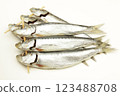 Sardine 123488708
