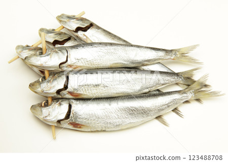 沙丁魚 沙丁魚 123488708