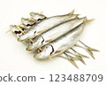 Sardine 123488709