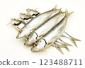Sardine 123488711