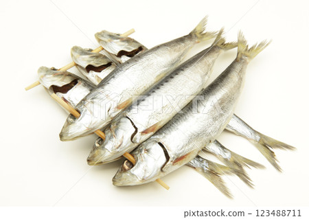 Sardine 123488711
