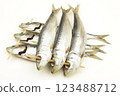 Sardine 123488712