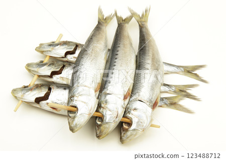 沙丁魚 沙丁魚 123488712