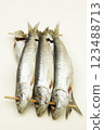 Sardine 123488713