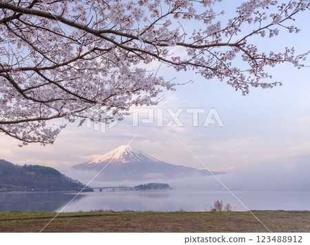 Sakura and Mt. Fuji in full bloom _ A superb view that symbolizes Japan Sakura and Mt. Fuji in full bloom _ A superb view that symbolizes Japan 123488912